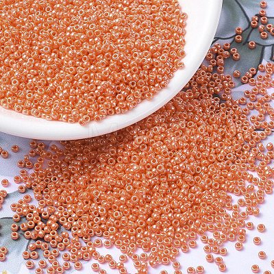 MIYUKI Round Rocailles Beads SEED-G007-RR0424-1