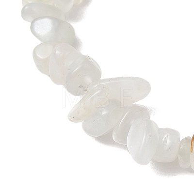 Natural White Moonstone Stretch Bracelets BJEW-JB11147-04-1