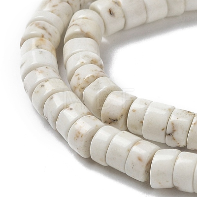 Natural Howlite Beads Strands G-E604-A01-B-1