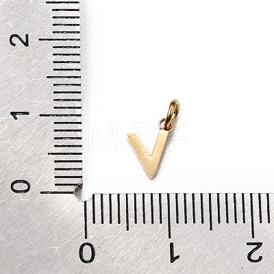 304 Stainless Steel Charms SA-CBABF3F-01G-V-1