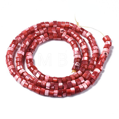 Natural Trochus Shell Beads Strands SHEL-S278-027D-1