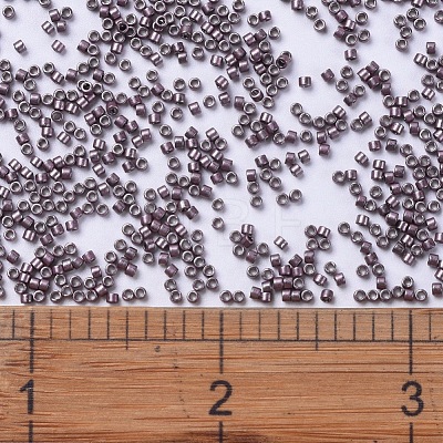 MIYUKI Delica Beads SEED-J020-DB0462-1