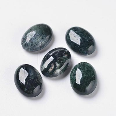 Natural Moss Agate Cabochons X-G-F296-09-10x14mm-1