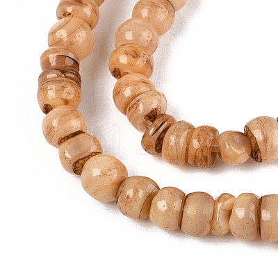 Natural Freshwater Shell Dyed Beads Strands SHEL-T020-29A-04-1