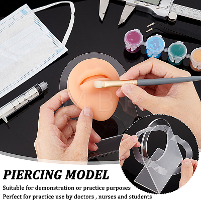 Soft Silicone Mouth Flexible Model Body Part Displays with Acrylic Stands ODIS-WH0002-22-1