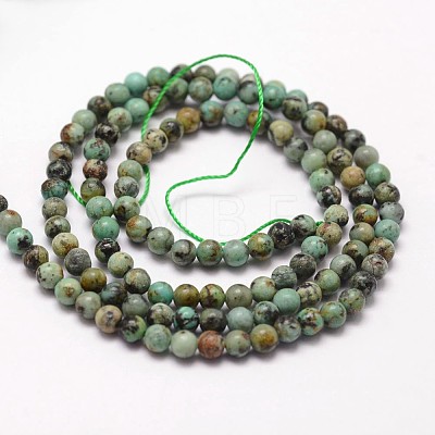 Natural African Turquoise(Jasper) Beads Strands G-N0188-02-2mm-1