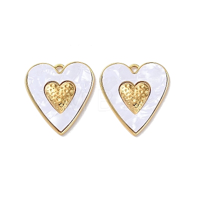 304 Stainless Steel Pendants STAS-A193-04G-04-1