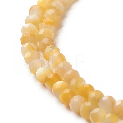 Natural Golden Yellow Shell Beads Strands SSHEL-G029-01B-1