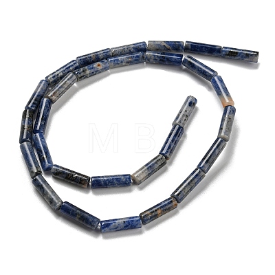 Natural Sodalite Beads Strands G-C084-B06-01-1