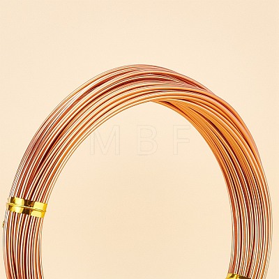 DIY Wire Wrapped Jewelry Kits DIY-BC0011-81B-03-1