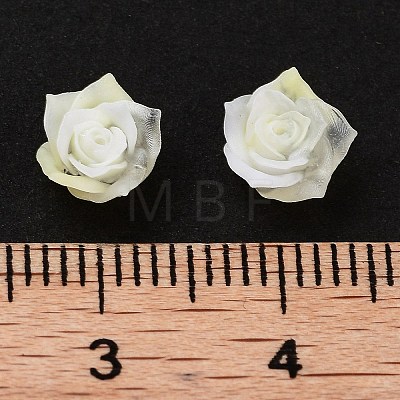 Luminous Resin Decoden Cabochons RESI-K036-45-1