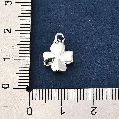 925 Sterling Silver Charms FIND-Z069-04S-C-1