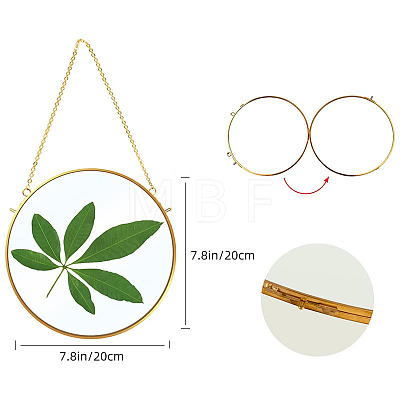Brass & Glass Hanging Photo Frame HJEW-H061-04G-1