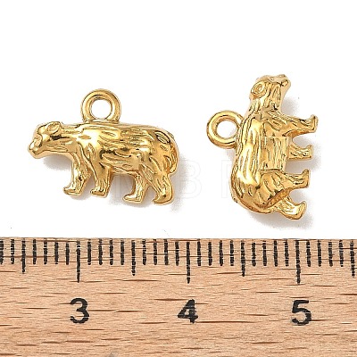 304 Stainless Steel Charms STAS-I367-10G-1
