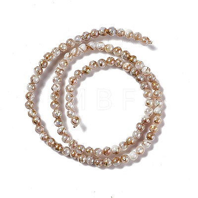 Drawbench Style Natural Freshwater Shell Beads Strands SHEL-F003-10A-1