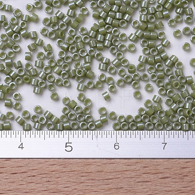 MIYUKI Delica Beads SEED-X0054-DB0263-1