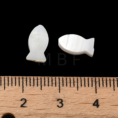 Natural Freshwater Shell Beads SHEL-H003-06-1
