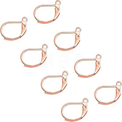304 Stainless Steel Leverback Earring Findings STAS-UN0001-67RG-1