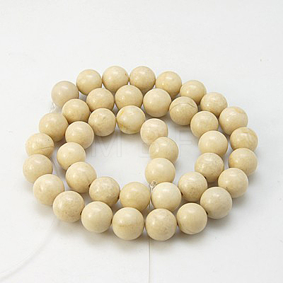 Natural Fossil Beads Strands G-E110-12mm-2-1