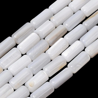 Natural Freshwater Shell Beads Strands SH-CBA2978-21B-1