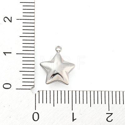 304 Stainless Steel Charms STAS-P333-08P-1