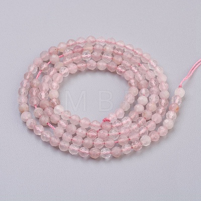 Natural Rose Quartz Beads Strands G-F568-069-3mm-1