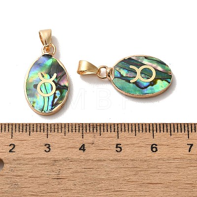 Constellation Natural Paua Shell Pendants KK-P265-01G-12-1