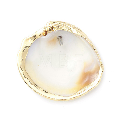 Natural Sea Shell Pendants X-SHEL-F005-06LG-1