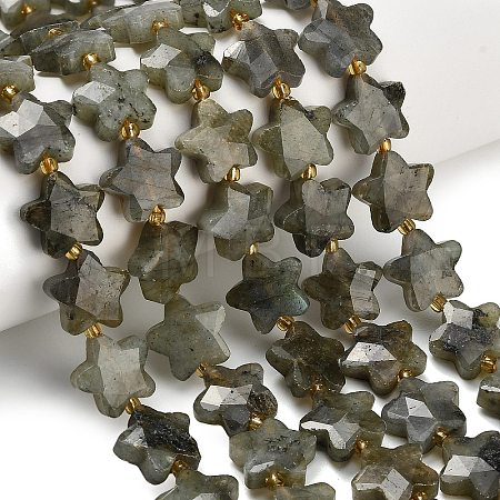 Natural Gray Labradorite Beads Strands G-L657-A02-01-1