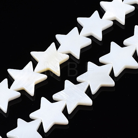 Natural Freshwater Shell Beads Strands X-SHEL-S278-01D-01-1
