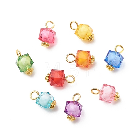 Transparent Acrylic Pendants PALLOY-JF01834-05-1