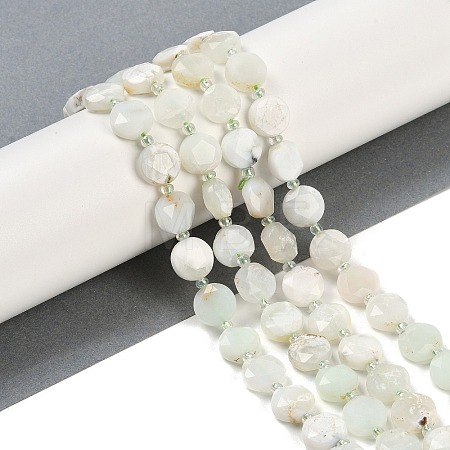 Natural Green Opal Beads Strands G-C116-A13-01A-1