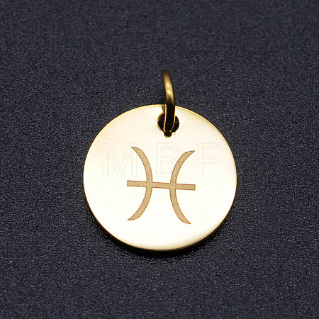 201 Stainless Steel Charms STAS-T049-T644-12G-1