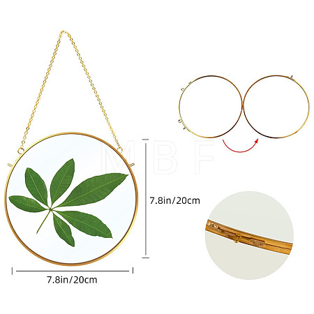 Brass & Glass Hanging Photo Frame HJEW-H061-04G-1