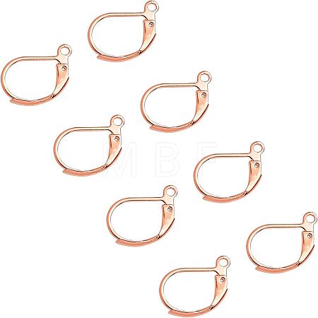 304 Stainless Steel Leverback Earring Findings STAS-UN0001-67RG-1