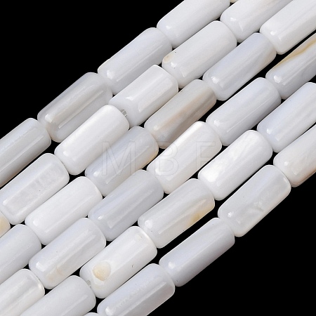 Natural Freshwater Shell Beads Strands SH-CBA2978-21B-1