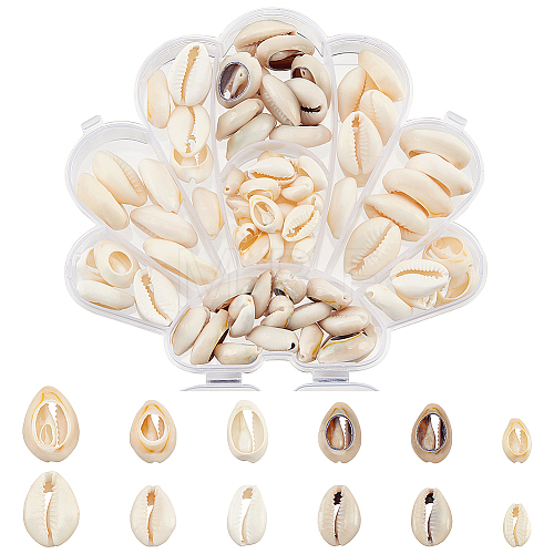 6 Styles Natural Mixed Cowrie Shell Beads BSHE-HY0001-01-1