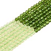 Transparent Glass Beads Strands GLAA-N074-01A-06-2
