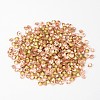 Back Plated Grade A Diamond Glass Pointed Rhinestone LS-RGLA-SS28-023-2