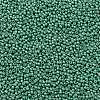 TOHO Round Seed Beads X-SEED-TR11-0561F-2