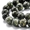 Natural Green Zebra Jasper Beads Strands G-L574-05B-3