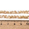 Natural Trochid Shell/Trochus Shell Beads Strands BSHE-T014-53-4