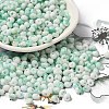 Baking Paint Glass Seed Beads SEED-F006-01A-08-1