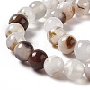 Natural Agate Beads Strands X-G-C011-01B-4