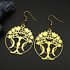 304 Stainless Steel Dangle Earrings FS-WGEFFE7-04-1
