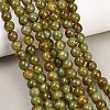 Handmade Lampwork Beads Strand LAMP-B056-8mm-20-1