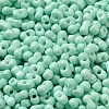 Baking Paint Glass Seed Beads SEED-K009-01A-05-3