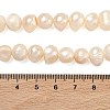 Natural Cultured Freshwater Pearl Beads Strands PEAR-L034-12F-5