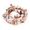 Natural Sea Shell Beads Strands SSHEL-N041-02B-2