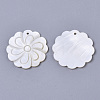 Natural Freshwater Shell Pendants SHEL-N026-30-2